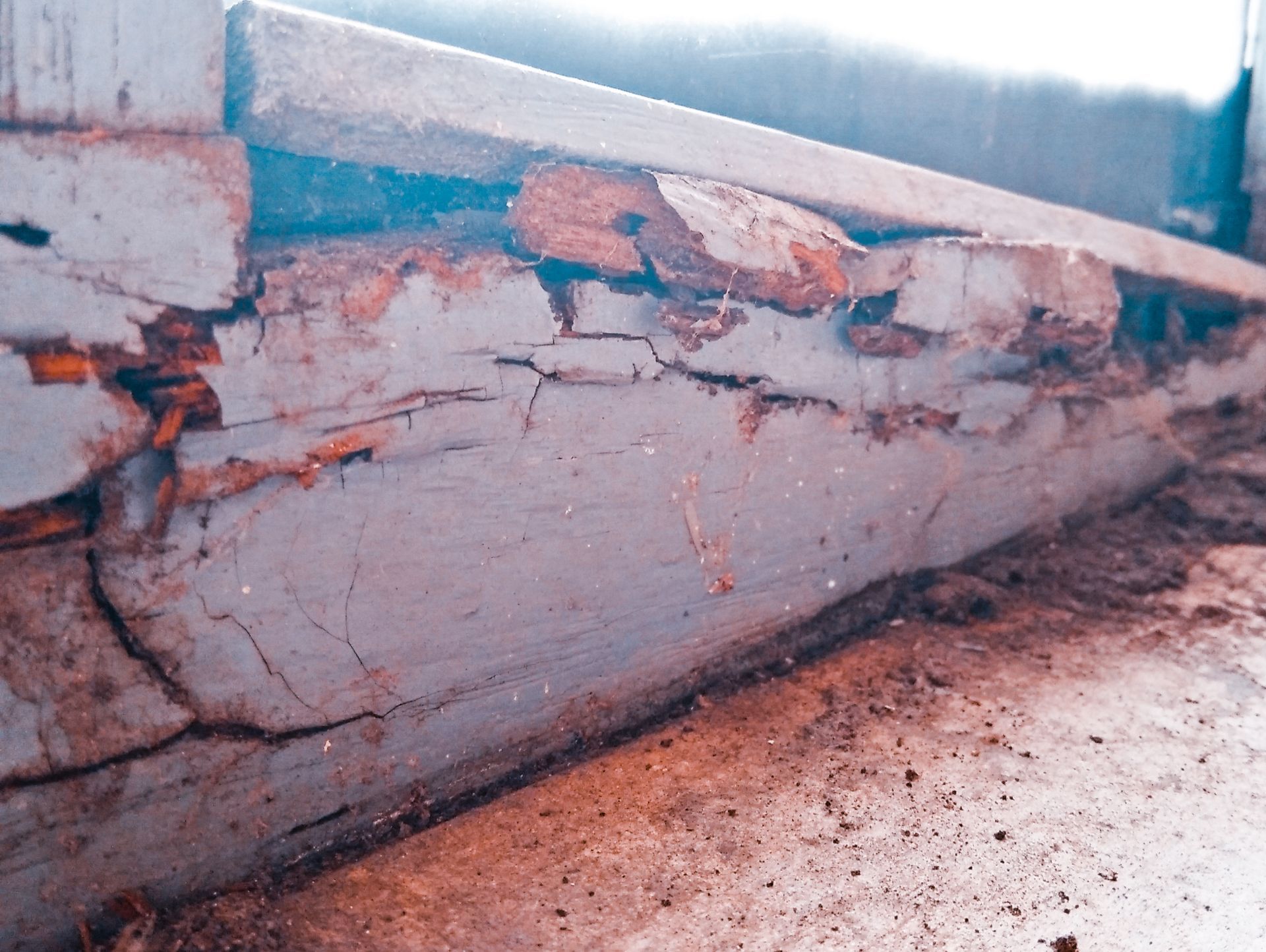 Get pest control repairs in Los Angeles with Armando's Termite & Pest Control