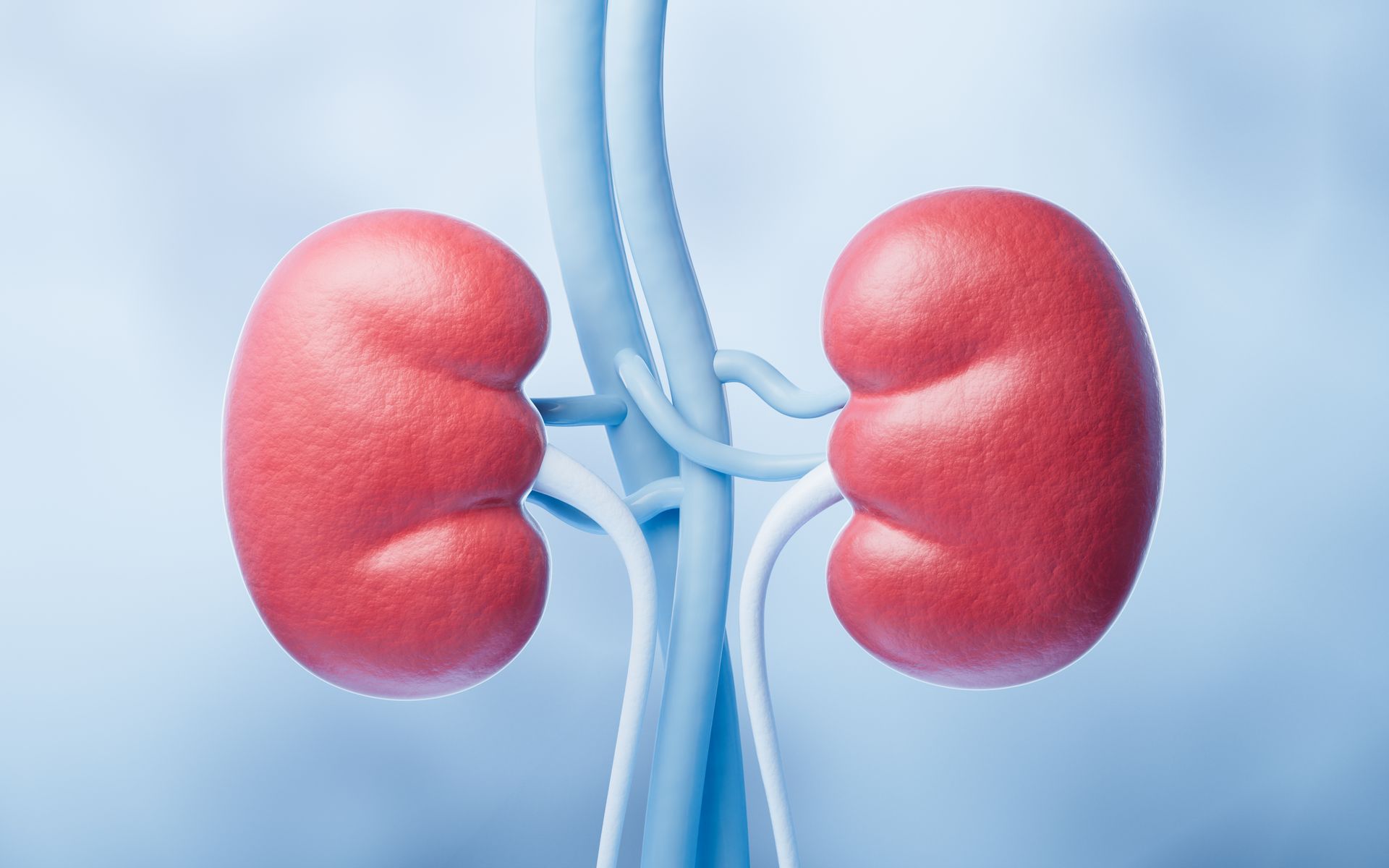 Discover more about the FLOW study semaglutide trial, which looked at how Wegovy could lower risks in people with chronic kidney disease. Discover more about the FLOW study semaglutide trial, which looked at how Wegovy could lower risks in people with chronic kidney disease.