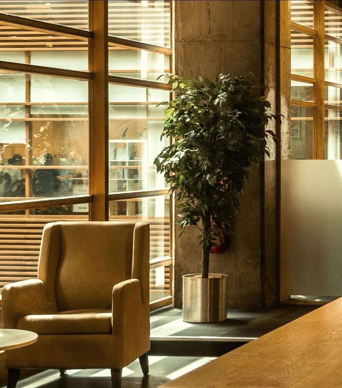 Cozy armchair next to a potted tree, beside a large window. Neutral tones, inviting interior.