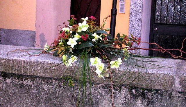 Una composizione floreale decorativa con ellebori bianchi e rami sottili e sinuosi, appoggiata su un muro di pietra grigia.