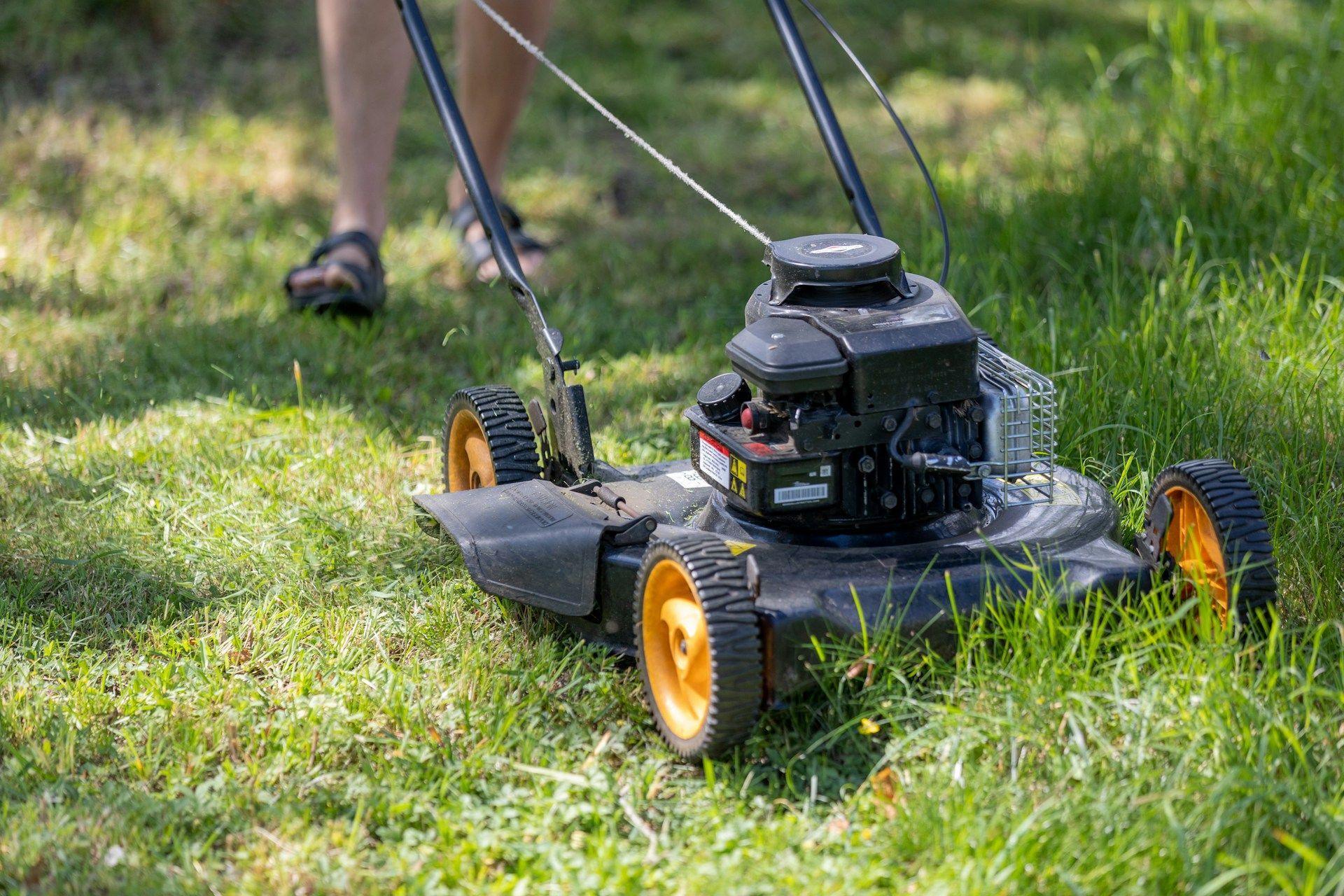 Lawn Care South Jersey