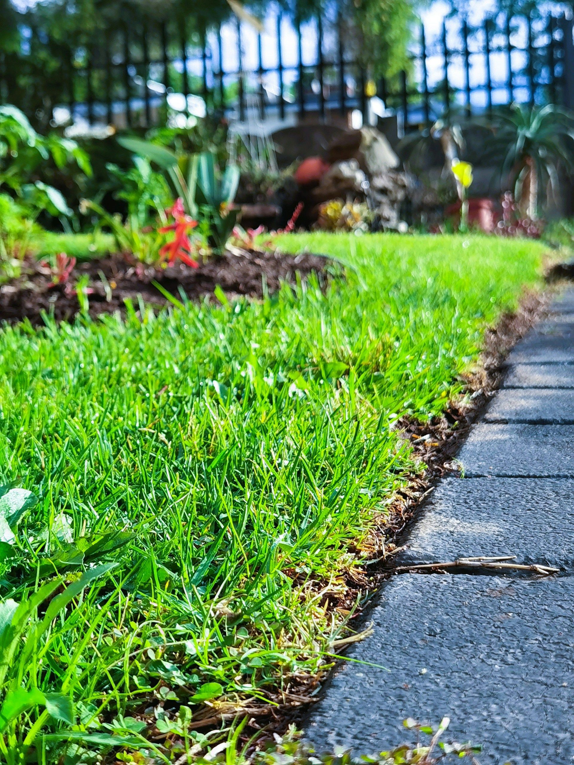 Lawn Care South Jersey