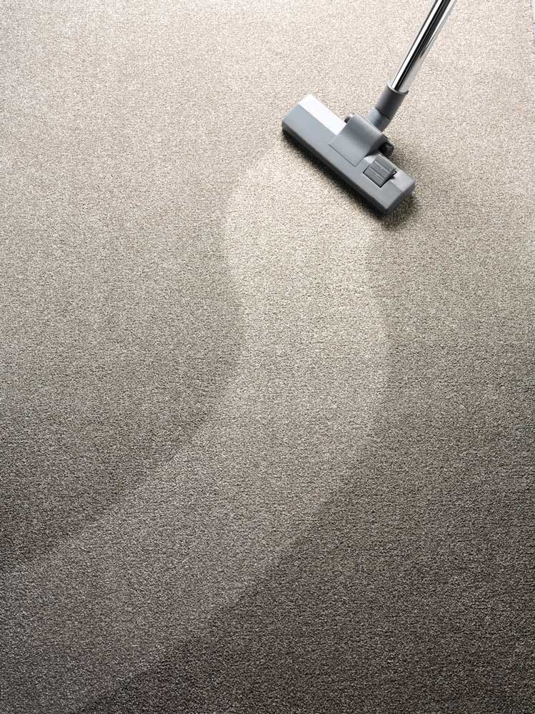 Vacuum Cleaner Cleaning a Carpet; Lighter Trail Behind the Head — Enviro Clean Carpet and Tile Cleaning in Terrigal, NSW