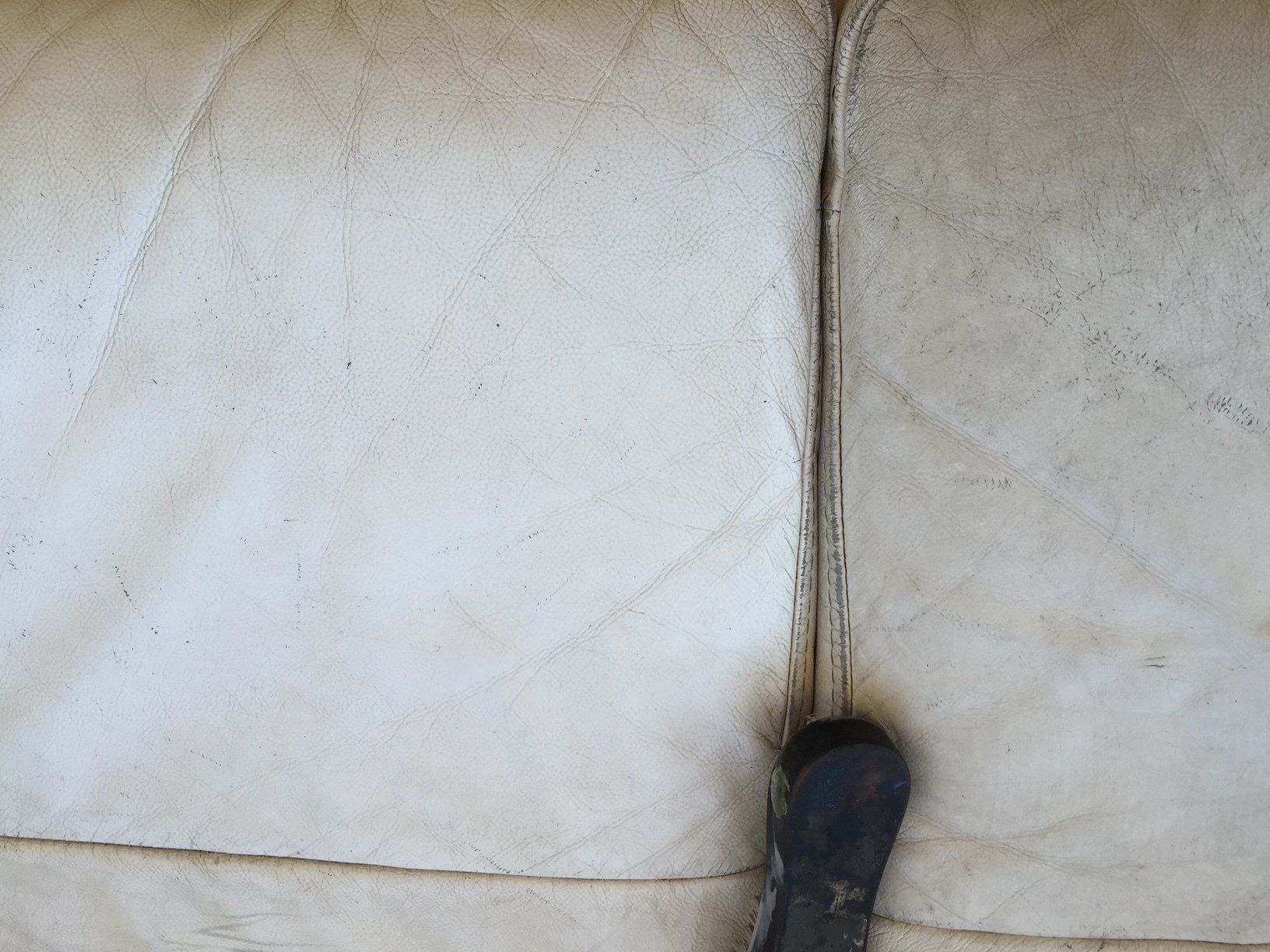 Cleaning a Sofa — Enviro Clean Carpet and Tile Cleaning in Woy Woy, NSW