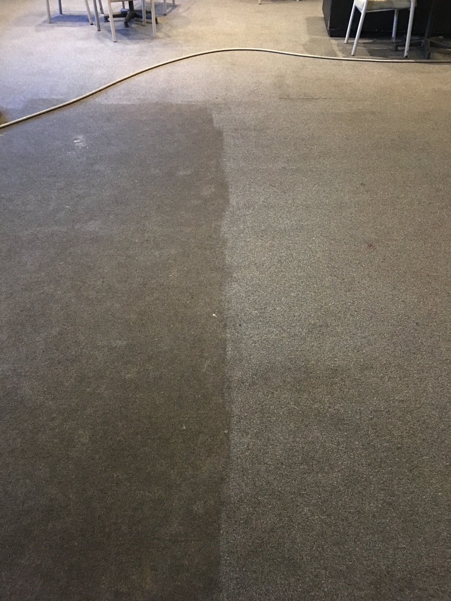 Carpet Half Cleaned — Enviro Clean Carpet and Tile Cleaning in Woy Woy, NSW