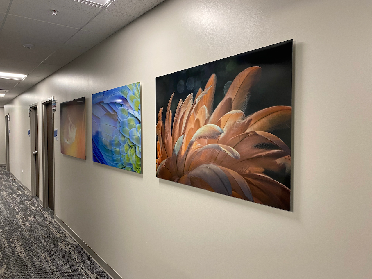 Three paintings are hanging on a wall in a hallway.