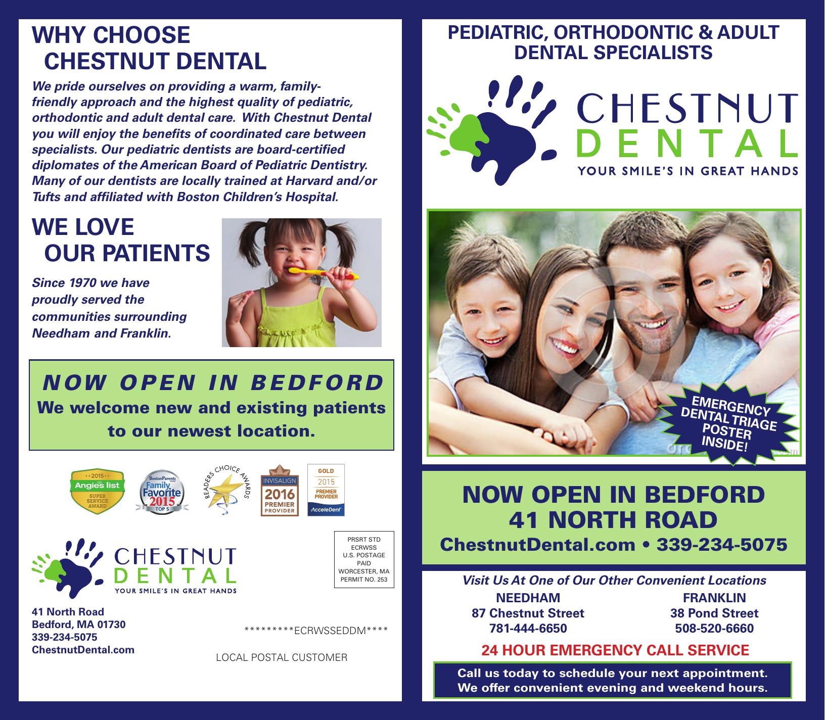 Chestnut Dental Brochure