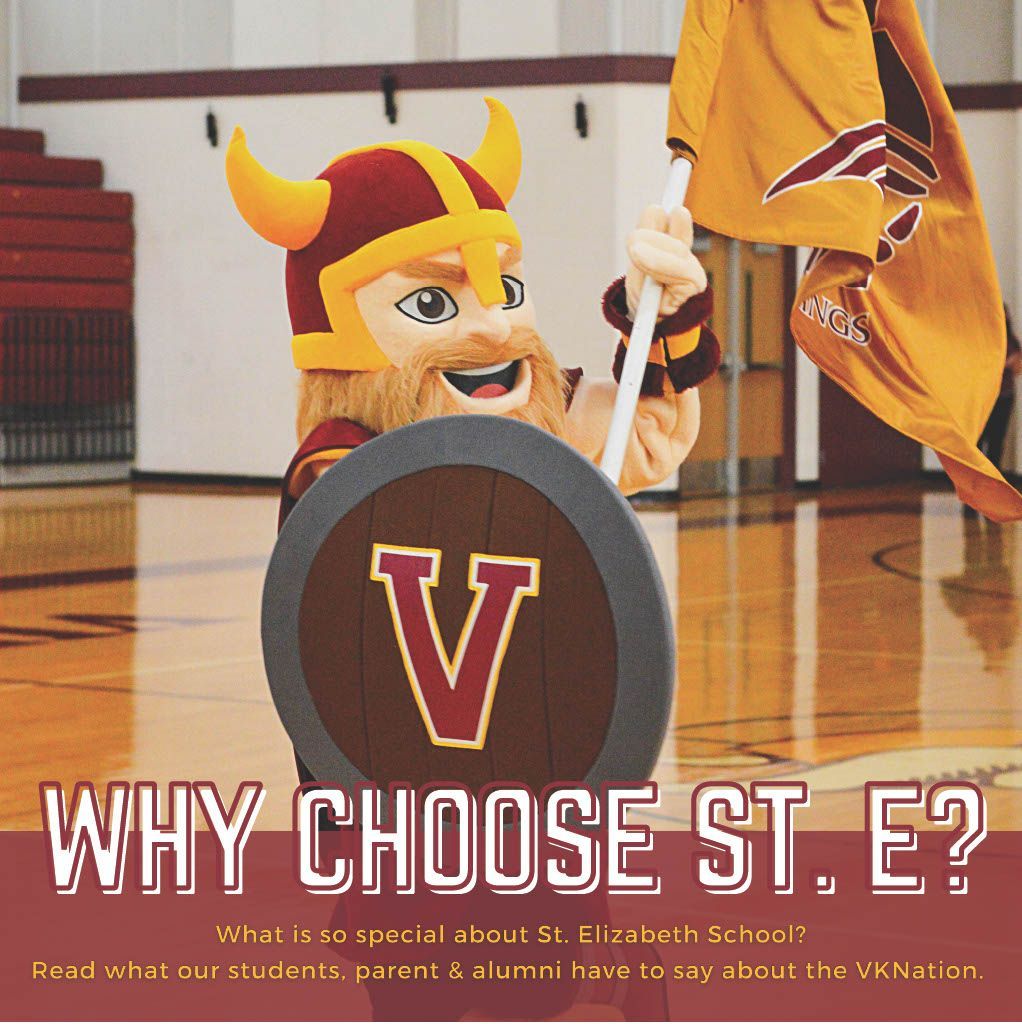 A viking mascot holding a shield with the letter v on it