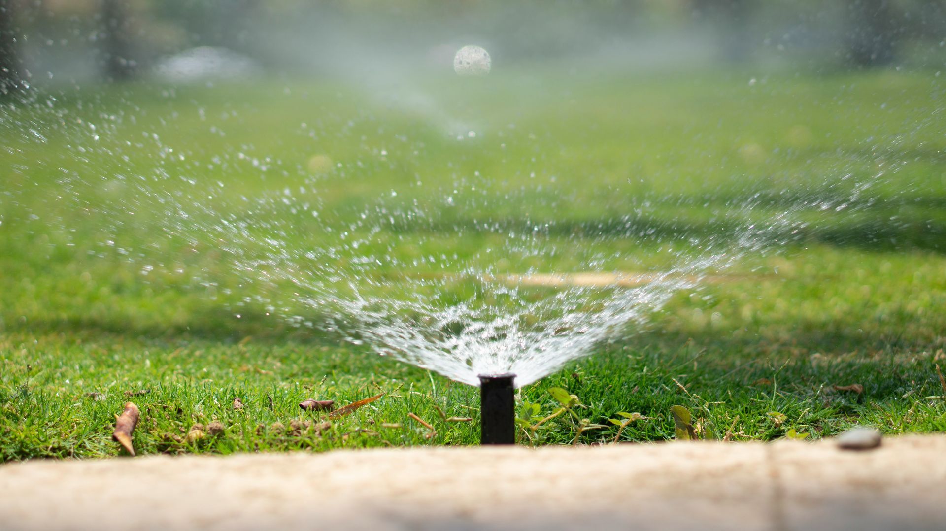 Sprinkler watering the lawn.