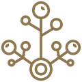 Brown, stylized plant icon with a central stem and circular, dot-like nodes branching out.