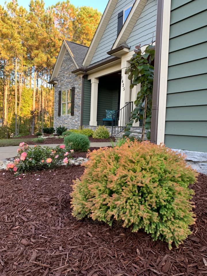 A house with a lot of mulch in front of it.