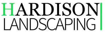 The letter h is green and the letter i is green on a white background.