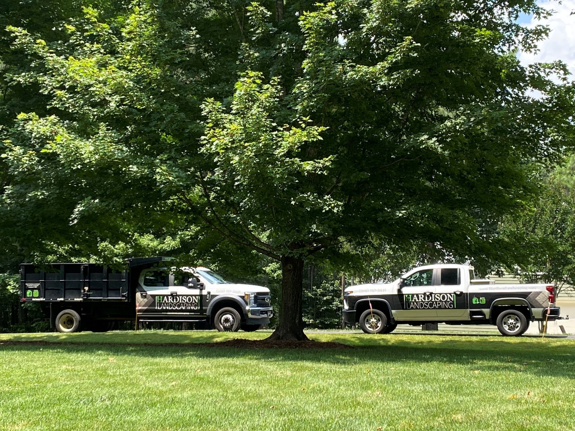 Two trucks are parked under a tree in a grassy field.