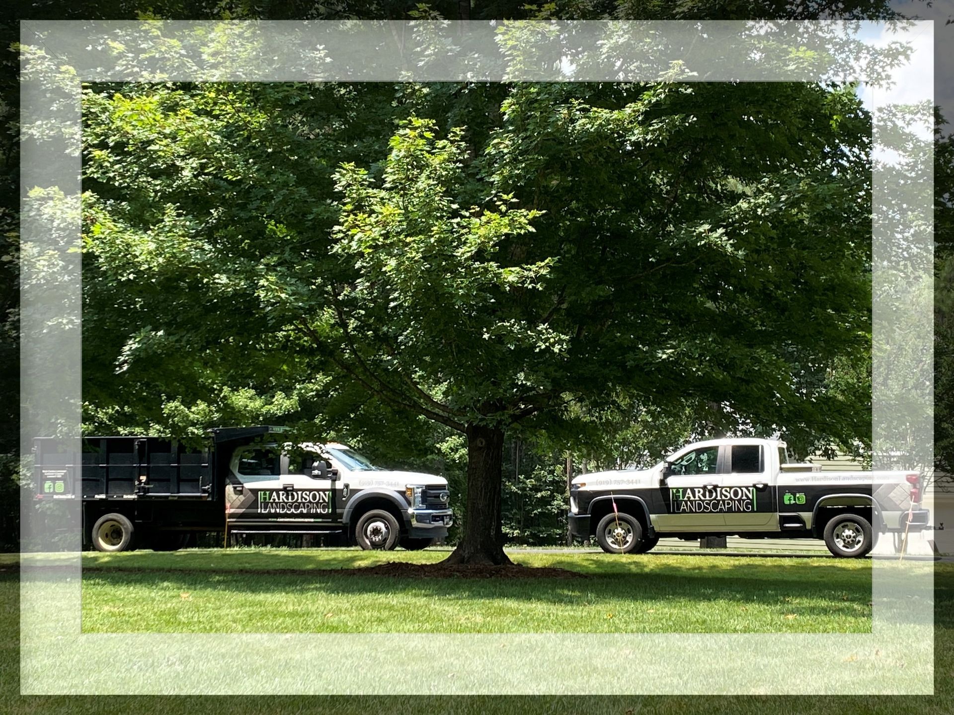 Two trucks are parked under a tree and one of them has the word woods on the side