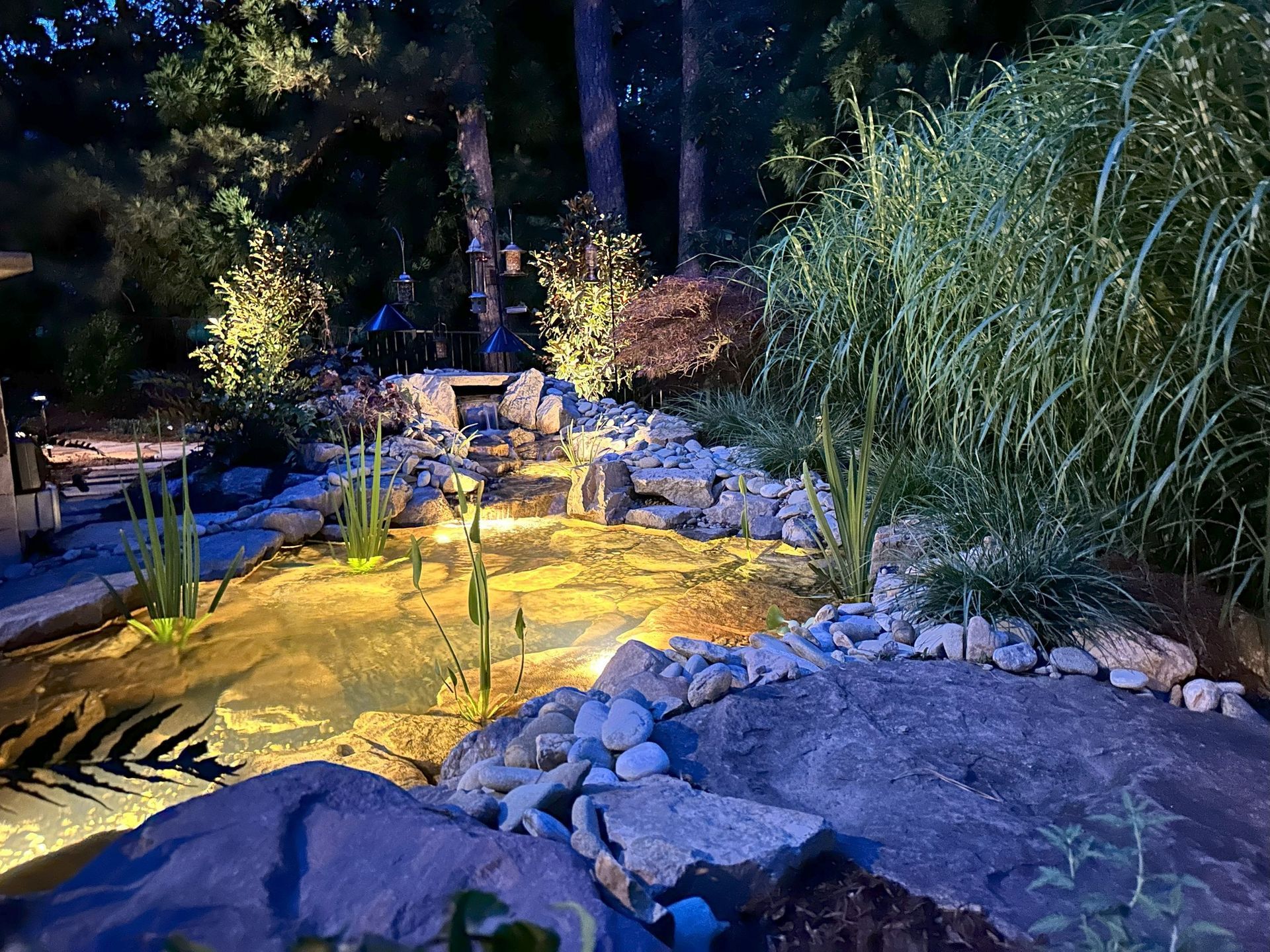 A pond surrounded by rocks and trees is lit up at night.