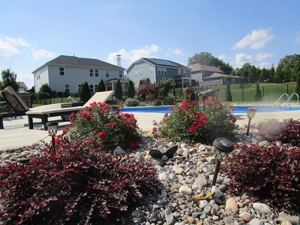 A swimming pool surrounded by flowers and rocks with a house in the background