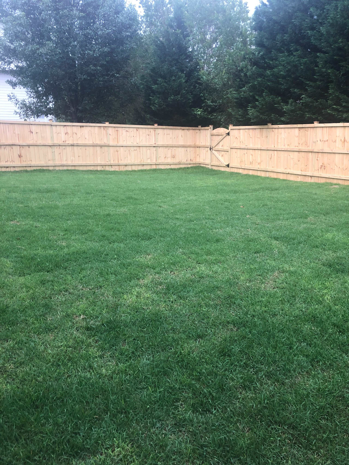 A wooden fence surrounds a lush green lawn in a backyard.