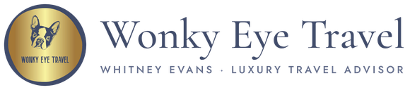 Wonky Eye Travel logo with gold circular emblem and white text on a blue banner