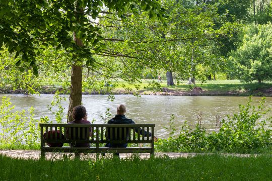 Two people sitting on a bench overlooking a river, shaded by a tree on a sunny day.