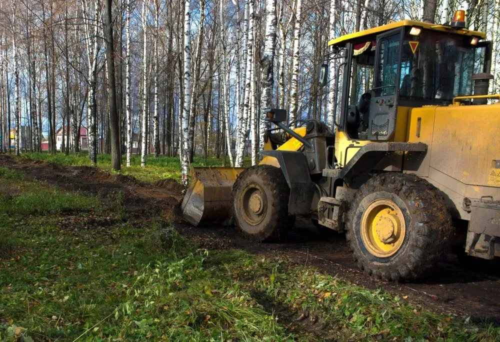 Yellow Bulldozer Clearing a Dirt Path Through a Forest of Birch Trees — Jim Anderson Earthmoving Pty Ltd in Coopernook, NSW