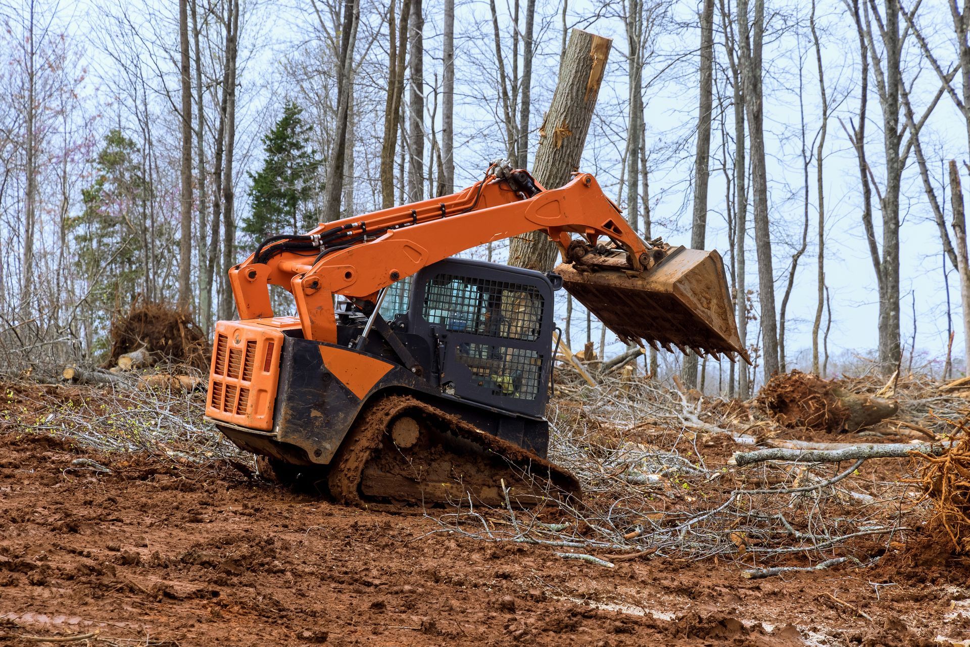Orange Skid Steer Loader Clearing Debris in a Muddy Forest — Jim Anderson Earthmoving Pty Ltd In Forster, NSW