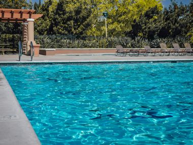 Swimming pool with clear blue water and lounge chairs. Sunny outdoor setting.