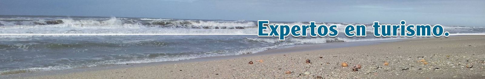 Una imagen borrosa de una playa con las palabras expertos en turismo