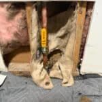 Water Line Repair and Replacement