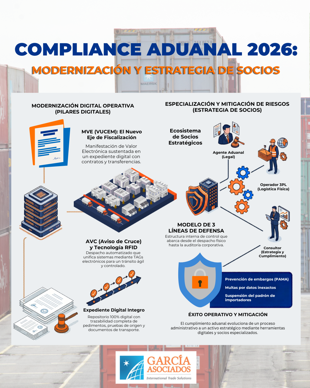 comercio exterior compliance aduanal