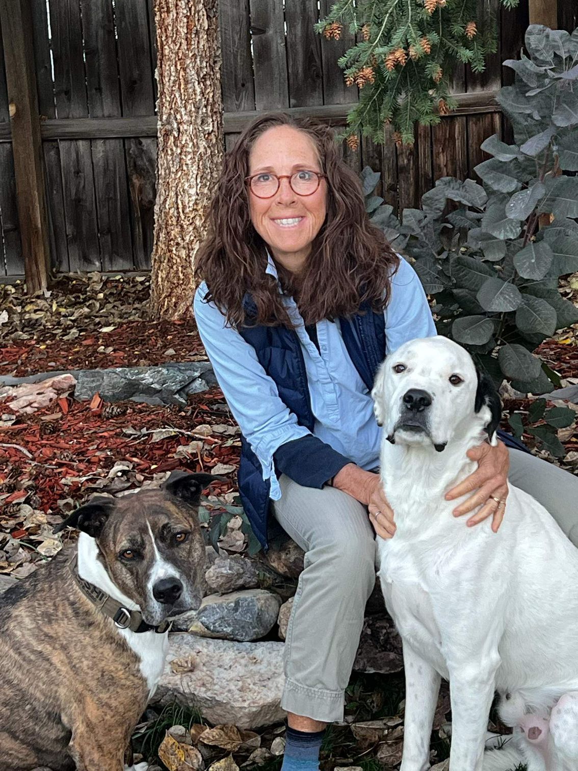 Person seated outdoors with two dogs beside a tree and autumn leaves