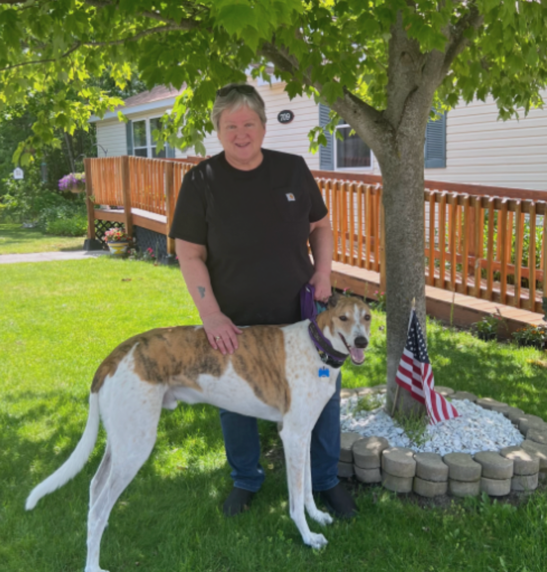 Person standing with a greyhound in a sunny yard beside a deck and small American flag garden display