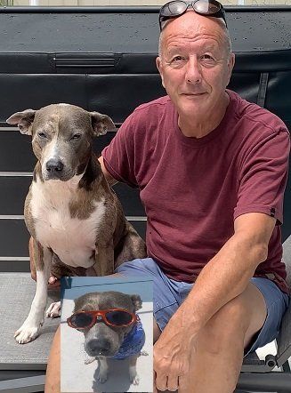 Man sitting beside a brown-and-white dog, with a small inset of the dog wearing red sunglasses.