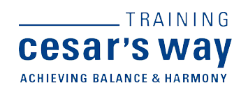 Cesar’s Way training logo with blue text and tagline “Achieving Balance & Harmony”