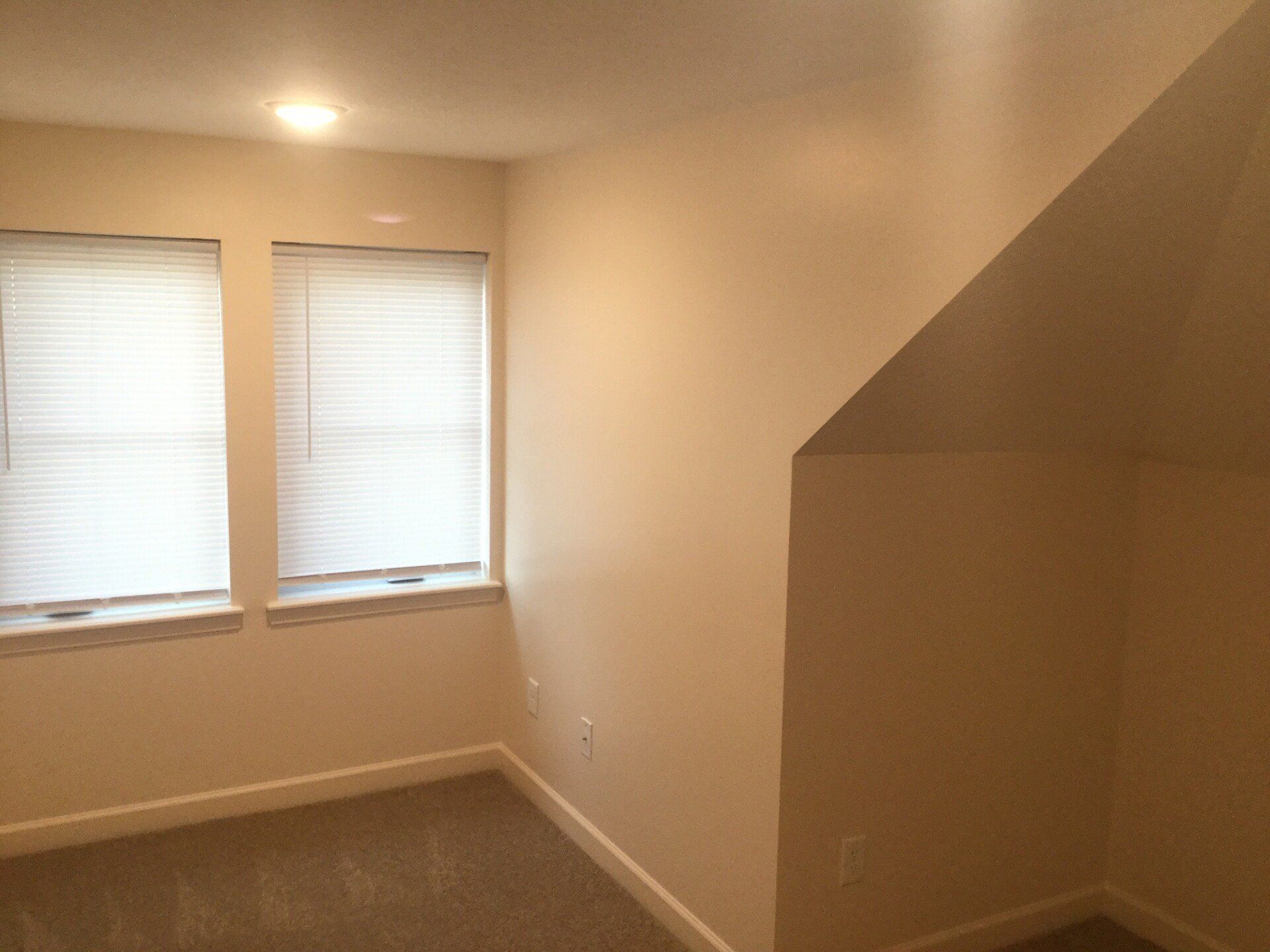 vaulted ceilings
