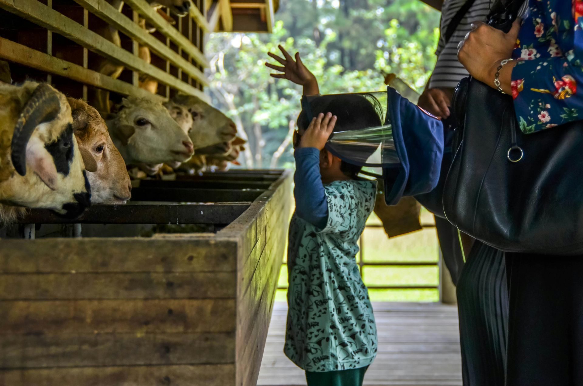 Child reaching toward sheep in a wooden pen, person standing nearby.