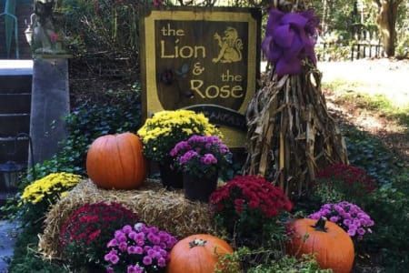 Autumn display at