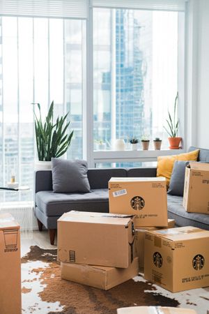 A living room filled with cardboard boxes and a couch.