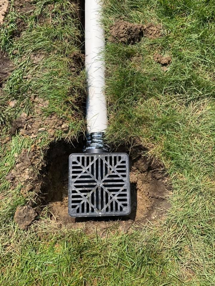 Black drainage grate in a lawn, connected to a white pipe in a trench.