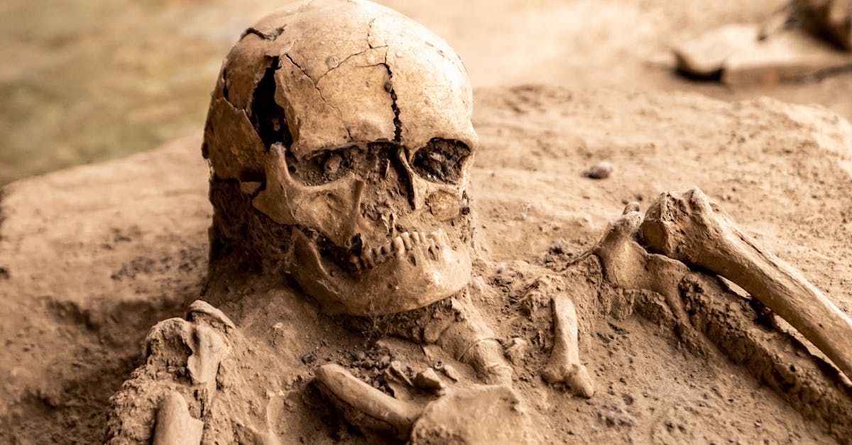What is Excavation. by S &S Excavation Kansas City