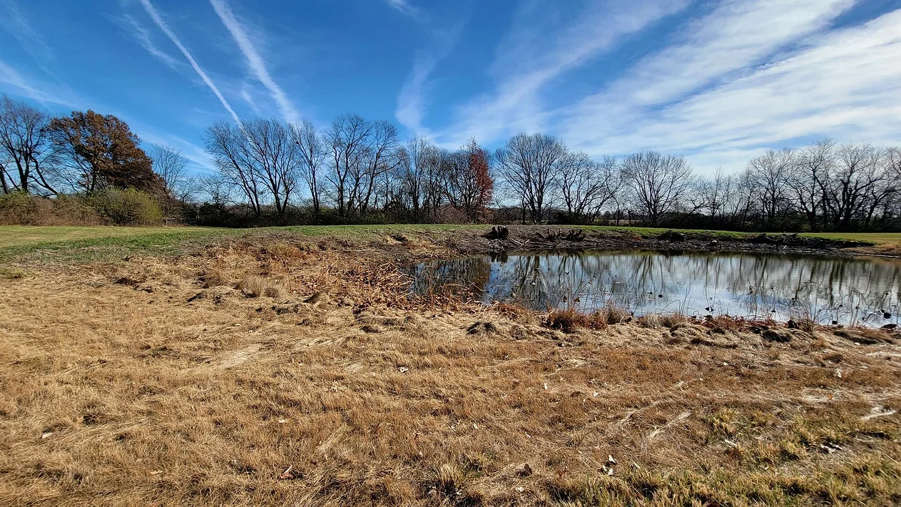 A small pond in the middle of a field with trees in the background.