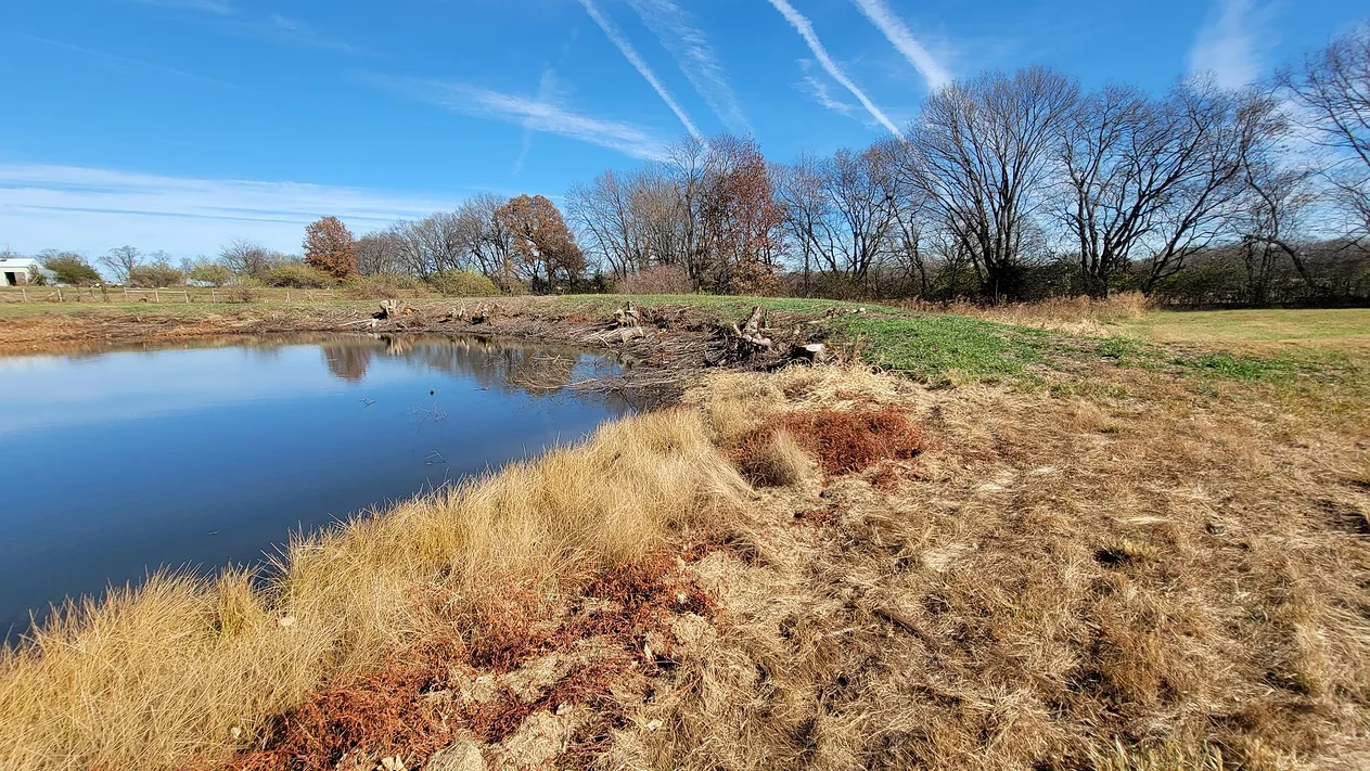 A pond in the field with trees in the background.