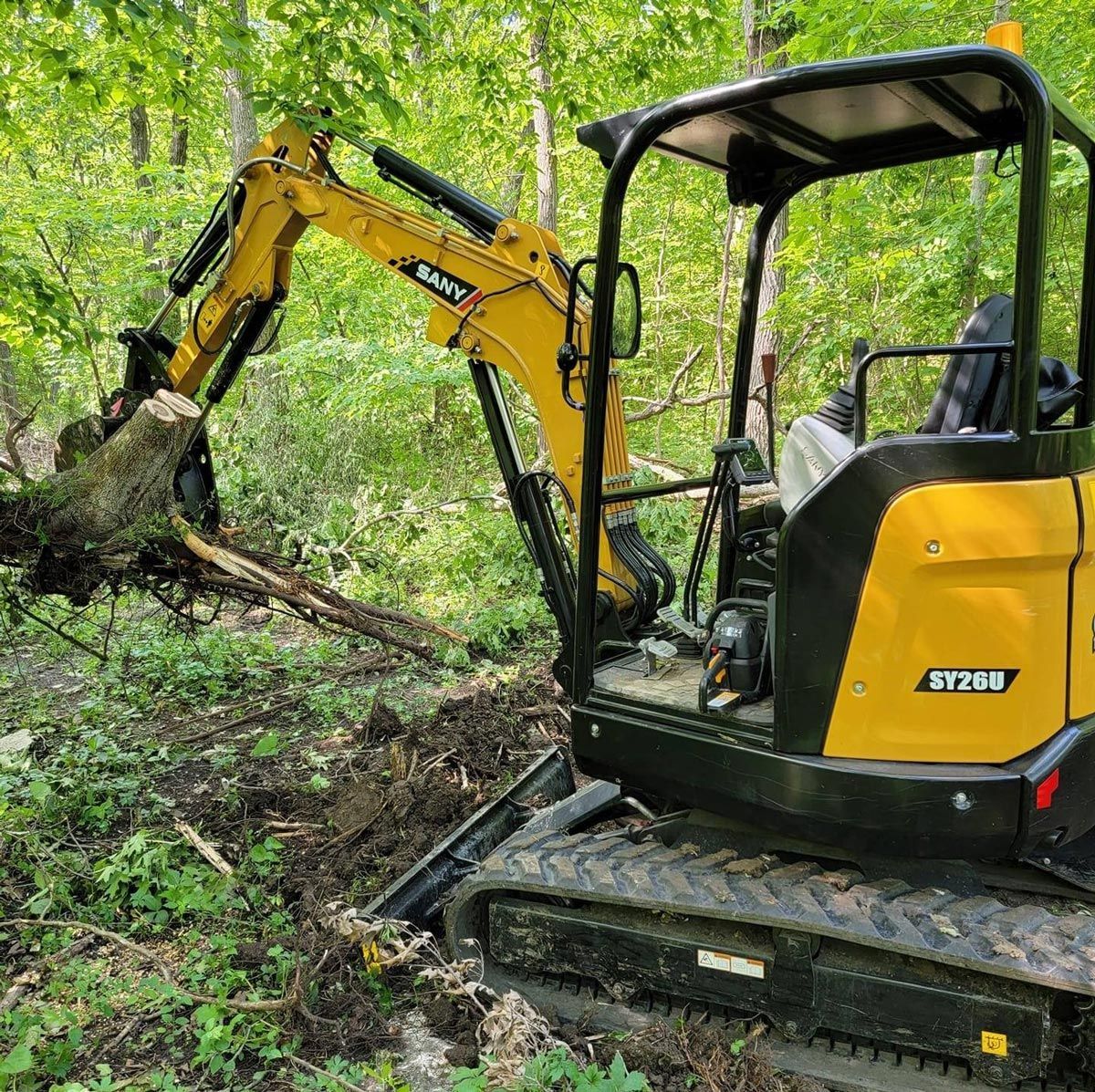 Removing A Tree Stump in Kansas City, MO