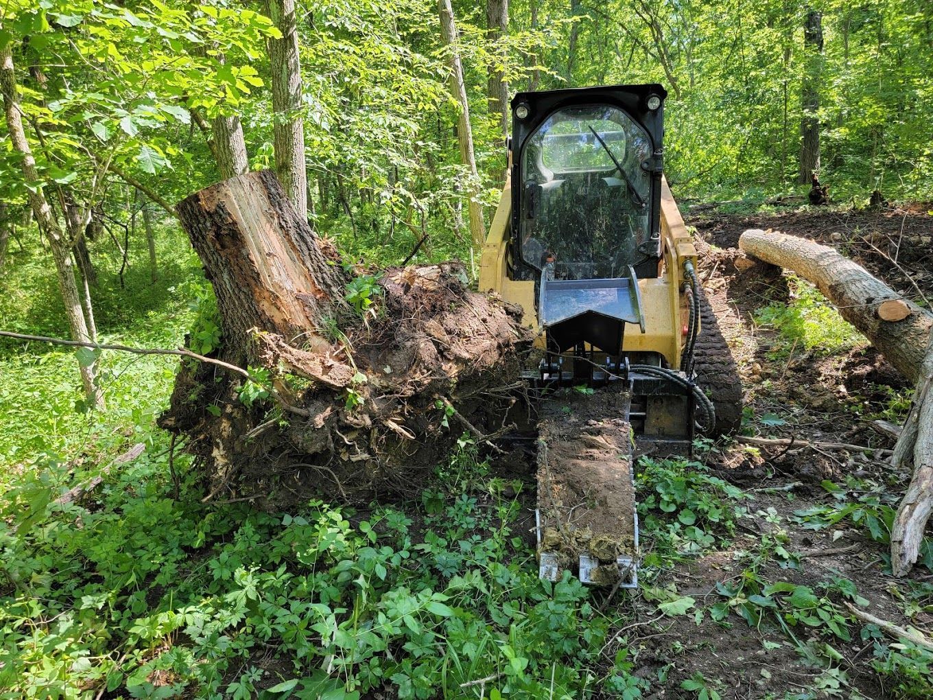A bulldozer is moving a large tree stump in the woods.