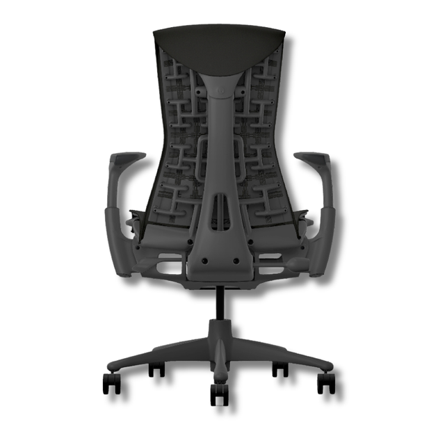 Refurbished Herman Miller Embody, rear view showing the Pixelated Support back