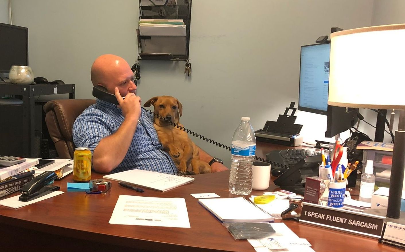 Man on phone with dog beside him at a desk in an office.
