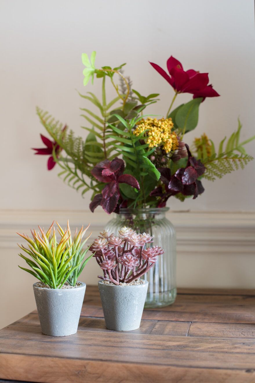 Two small potted plants on a wooden table with a glass vase of red and green flowers behind them