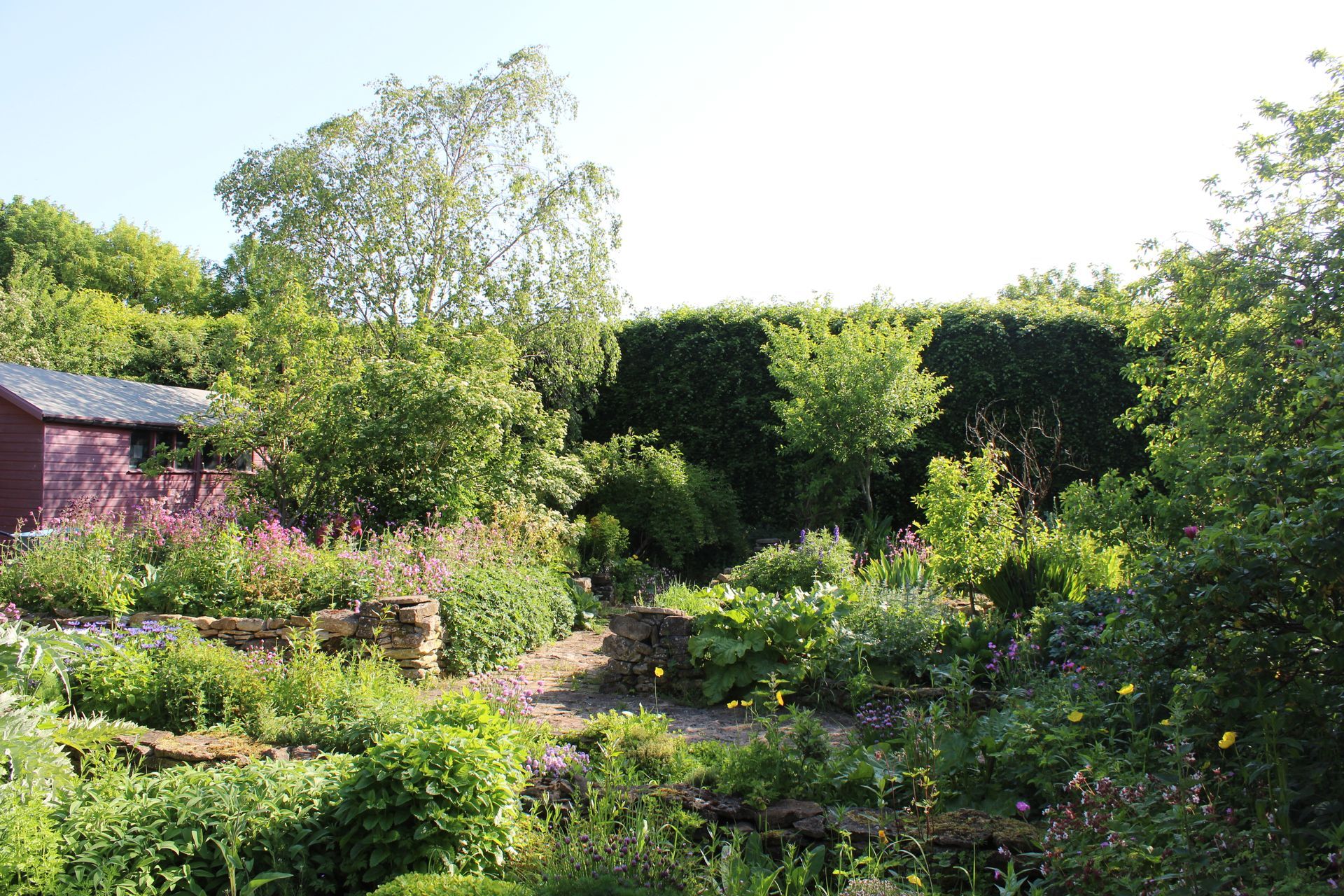 Lush garden with flowering plants, shrubs, and a narrow stone path under bright sunlight