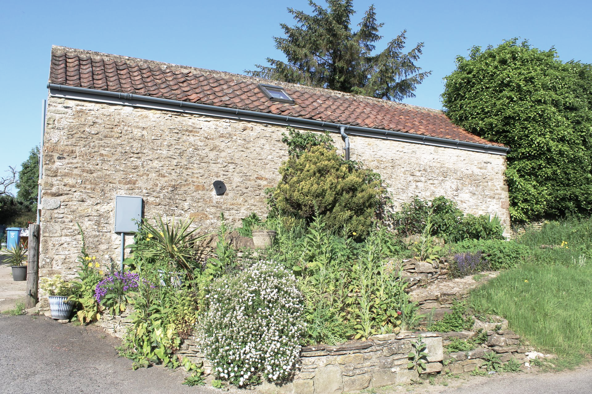 Stone cottage with red-tiled roof and overgrown garden in bright sunlight