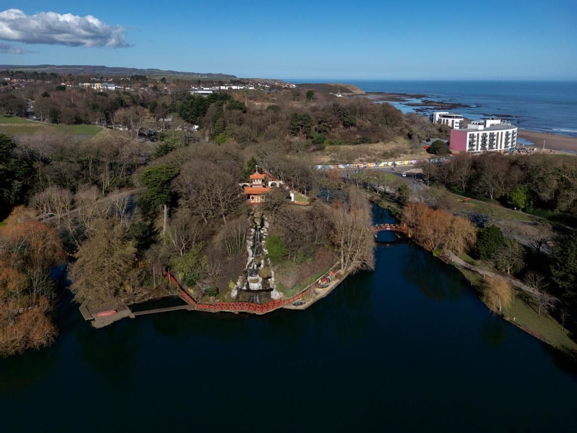 Aerial view of a lakeside park with a small pavilion, trees, and waterfront buildings in the distance