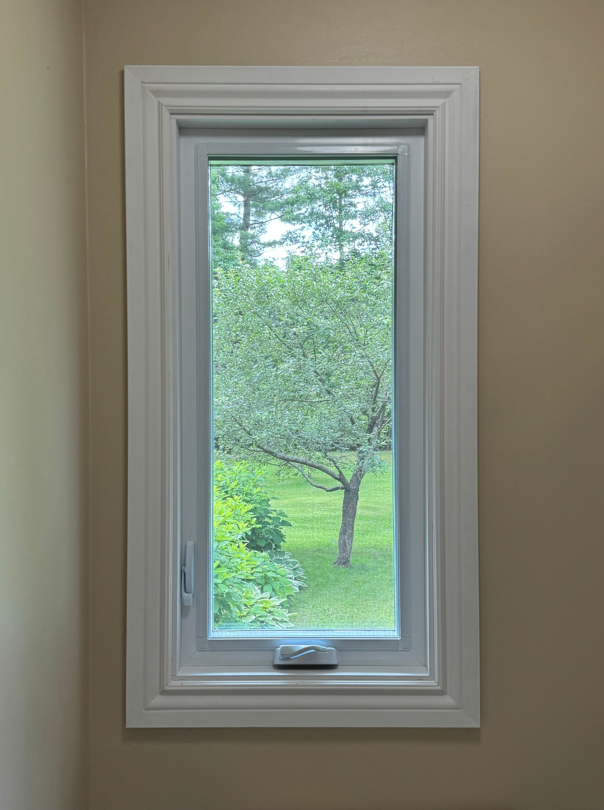White-framed window with a view of green trees and grass outside.